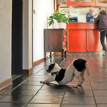 Galant מלון